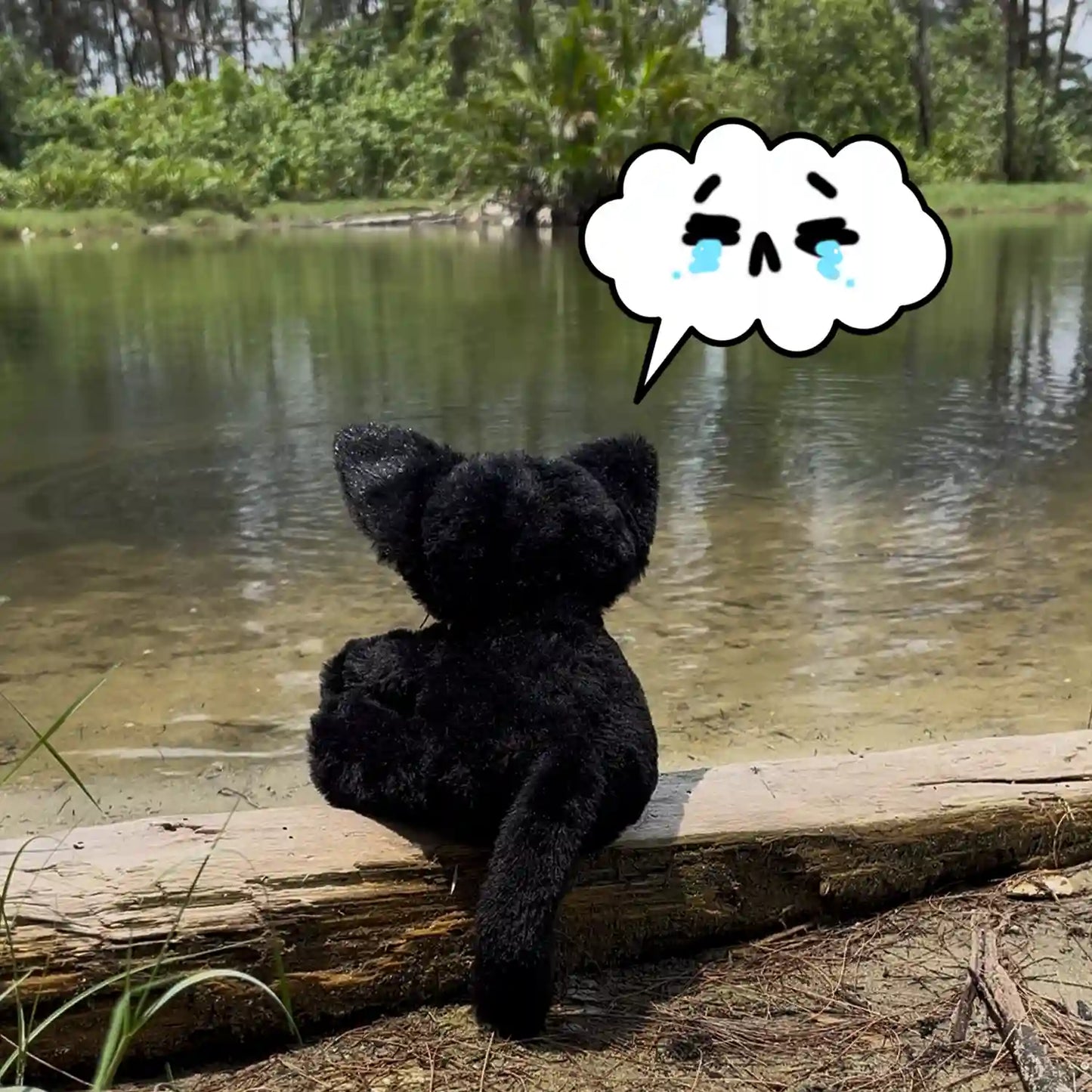 Mournie Mooncat