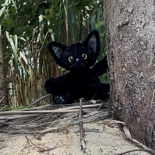 Mournie Mooncat