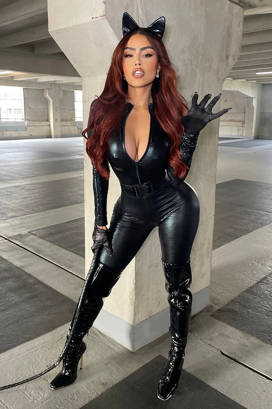 Catwoman 5 Piece Costume Set